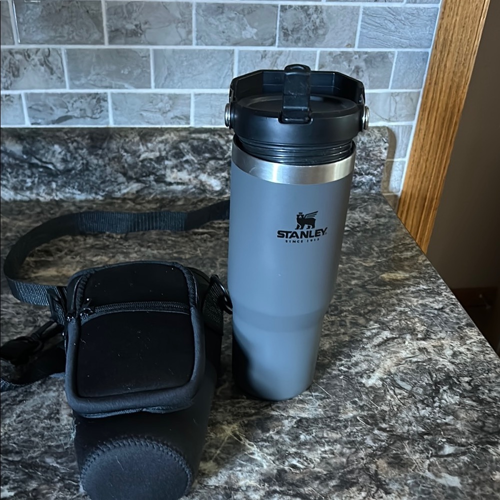 Stanley Gray Mug/Tumbler with Black Carry Case